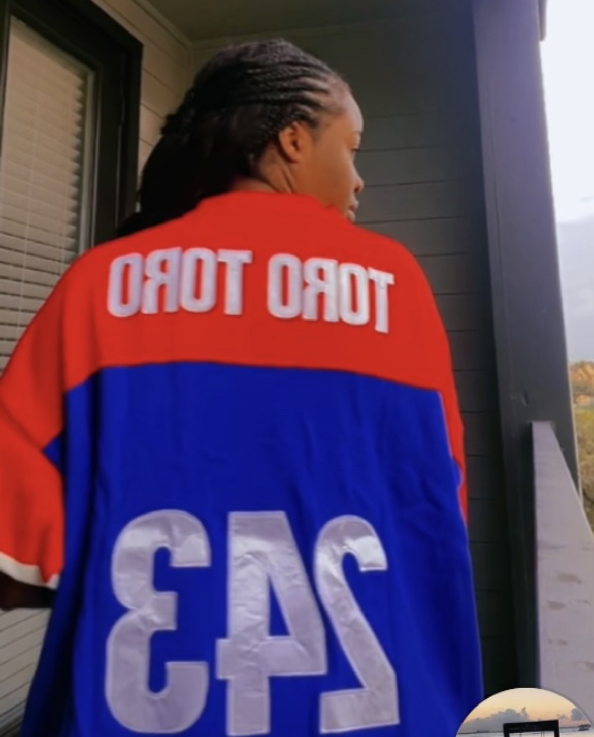 Zaire Congo Toro Toro